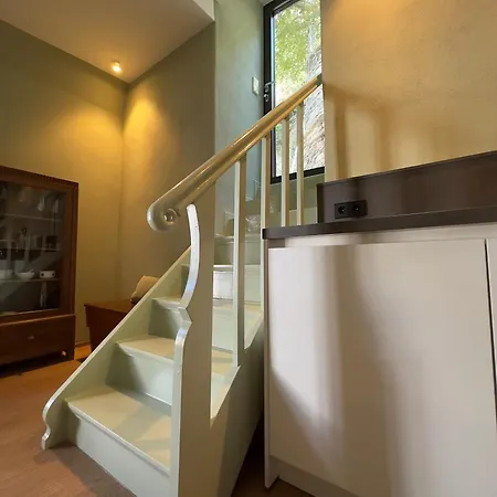 Seinerzeit - Traumzeit モンシャウ